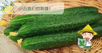 66吃瓜网 免费吃瓜,免费吃瓜,畅享娱乐盛宴 第3张 66吃瓜网 免费吃瓜,免费吃瓜,畅享娱乐盛宴 第3张