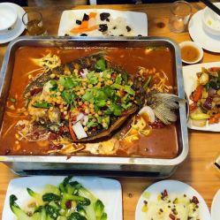 亮哥美食爆料视频,探寻地道美食背后的故事 第2张 亮哥美食爆料视频,探寻地道美食背后的故事 第2张